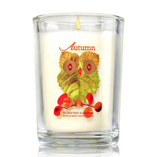 Bath and Body Works Autumn - Medium Candle - Shopaholic